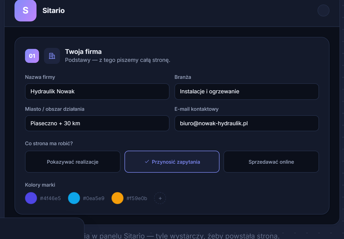 Order form in the Sitario panel — company name, industry, site goal, brand colours